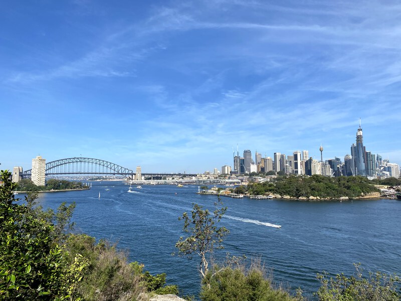 A view of the Sydney harbour bridge and CBD skyline