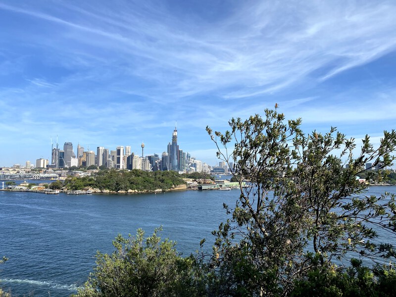 A view of the Sydney CBD skyline and inner west