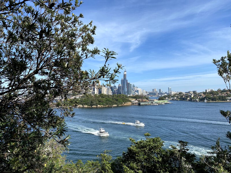 A view of the harbour from a different angle, this time with more trees