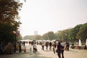 A photo looking out on Ueno park, with many people in the foreground.