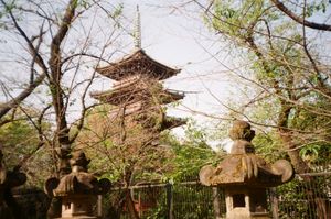 A photo of a Japanese pagoda